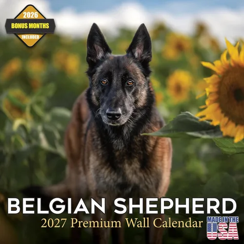 Vista 187 de Calendario de Lebrel Afgano 2025 2026, calendario mensual de pared de raza canina, 12" x 18" abierto, papel grueso sin traspaso, ideal para regalo