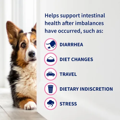 Vista 8 de Nutramax Proviable Probióticos para Perros y Gatos, Suplemento Diario para la Salud Digestiva con Múltiples Cepas de Bacterias, Probióticos