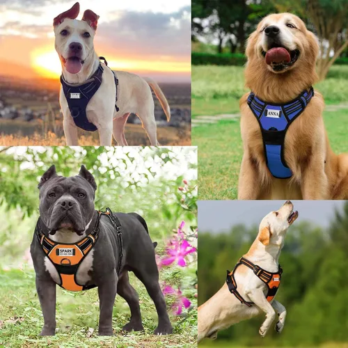 Vista 5 de Juego de correa de arnés personalizado para perro sin tirones con nombre y número de teléfono, arnés de chaleco acolchado suave reflectante