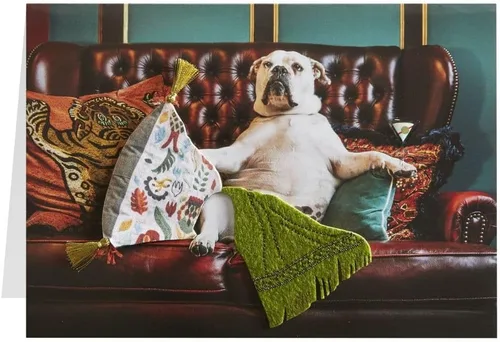 Vista 8 de NIQUEA.D, Tarjeta de cumpleaños de perro en el sofá