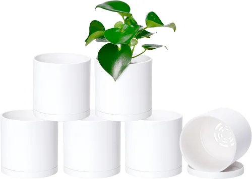 Vista 26 de D'vine Dev - Paquete de 2 macetas de plástico modernas de 4 pulgadas, pequeñas macetas de jardín para plantas con orificios de drenaje y platillos