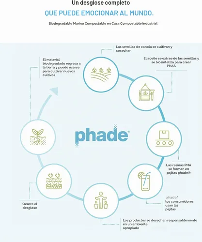 Vista 4 de phade Pajitas gigantes ecológicas de 8.5 pulgadas, 1200 unidades, biodegradables marinos sostenibles, compostables, envueltos individualmente