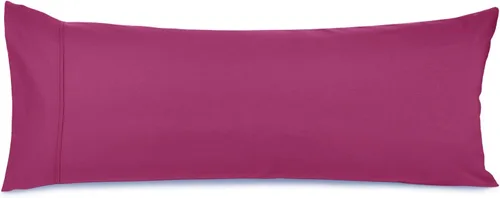 Vista 123 de Nestl - Juego de 2 fundas de almohada de microfibra azul playa tamaño Queen, 20 x 30 pulgadas