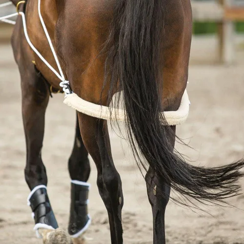 Vista 9 de Sistema de entrenamiento europeo avanzado Herramienta de entrenamiento avanzada Mejora el carro de caballos y los auriculares Fomenta