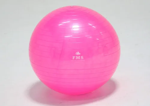 Vista 3 de FIM ISU 25.6 in Fitness Stability Ball • Yoga Balance Ball • Ejercicio Entrenamiento Bola INCLUYE Bomba de Pie