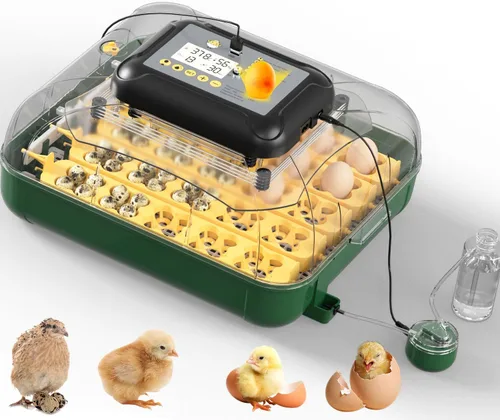 Vista 8 de Incubadoras de huevos para incubar huevos con girador automático de huevos, 8 incubadoras para huevos de gallina con vela de huevos para pollo