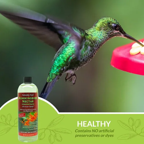 Vista 3 de Néctar de colibrí naturalmente fresco con defensor de néctar – Néctar de larga duración para comederos de colibríes – Concentrado fácil de usar