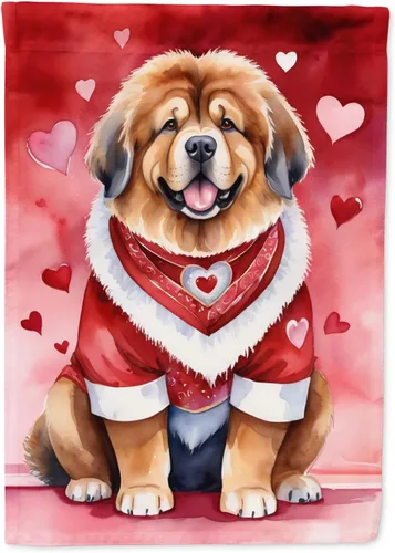 Vista 97 de Caroline's Treasures DAC5252GF Affenpinscher - Bandera de jardín con texto en inglés "My Valentine", bandera decorativa para patio exterior, patio
