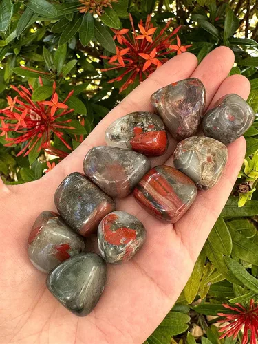 Vista 3 de GAF TREASURES Piedras pulidas de piedra de sangre africana de 1/2 libra, piedra preciosa de sangre africana pulida, cristales curativos de piedra