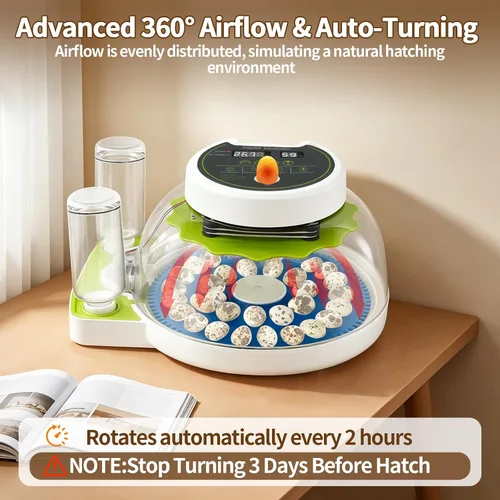 Vista 4 de Incubadora de huevos de codorniz para incubar 33 huevos de codorniz con girador automático y control de humedad, criador de codornices pequeñas