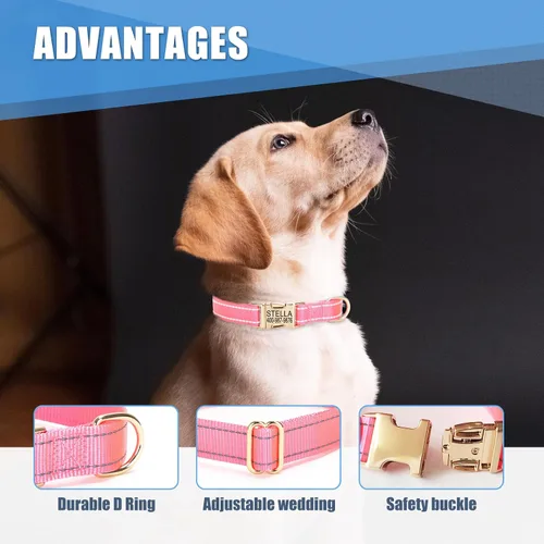 Vista 2 de Collar personalizado para perro con etiqueta de nombre, collar de nailon reflectante para mascotas, collares de perro con hebilla dorada grabada
