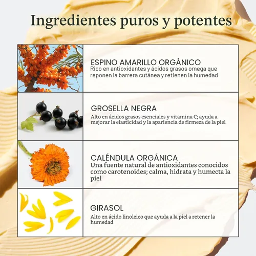 Vista 3 de Ursa Major Golden Hour - Hidratante facial Crema de recuperación vegana para hidratación facial diaria Repara e hidrata Fórmula natural