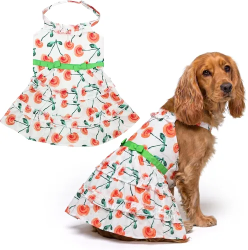 Vista 16 de Parisian Pet Chambray - Vestido para perro - Ligero sin mangas para perro, niña, talla XS Chambray en general