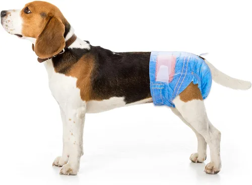 Vista 2 de Pet Soft Pañales desechables para perros hembras, pañales desechables para gatos, pañales para cachorros, 8 unidades, XS