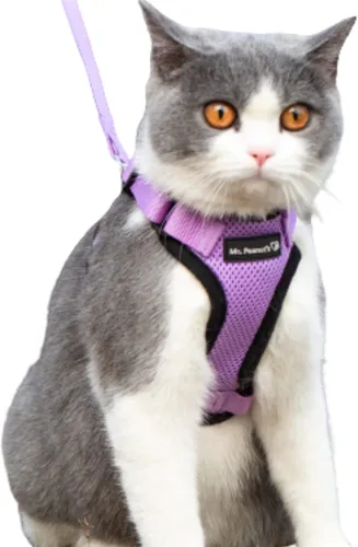 Vista 10 de Mr. Peanut's PurrTrek Arnés reflectante para gatos con correa a juego (extra pequeño, azul)
