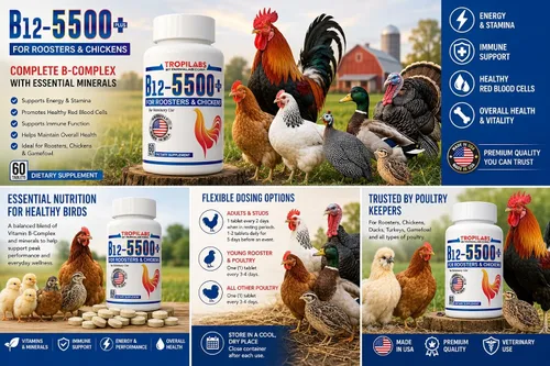 Vista 7 de Farmalab B12 5500 Plus para gallinas aves de corral Gamefowl Plus para Gallos Gallinas Pollos Aves de Corral