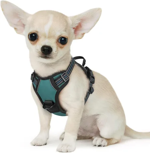 Vista 68 de Eagloo Arnés para perro pequeño, sin tirones, chaleco de servicio con tiras reflectantes y asa de control, ajustable y cómodo para caminar, arnés