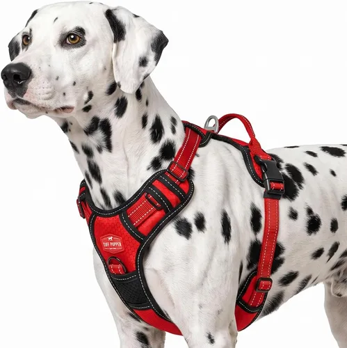 Vista 14 de Tuff Pupper Arnés para perro sin tirones, chaleco resistente para mascotas, clips para correa delantera y trasera, mango de seguridad fuerte