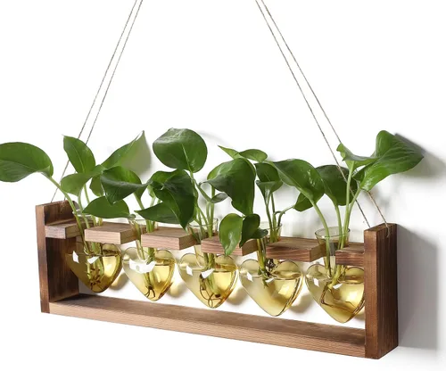 Vista 10 de Estaciones de propagación colgantes de terrario para plantas, regalo para mujeres, soporte para plantas de aire con soporte de madera, cristal