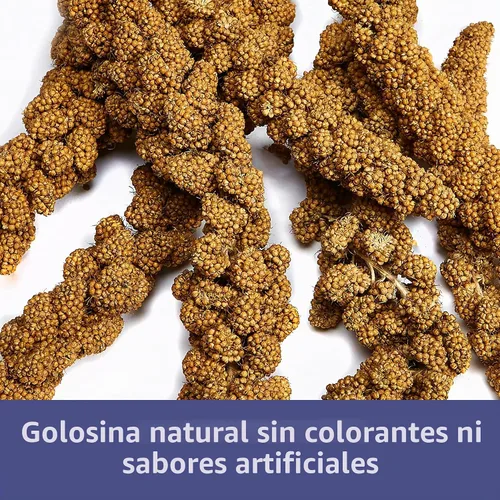 Vista 3 de Kaytee Spray Millet For Birds, 12 Count (Pack of 1) (El embalaje puede variar) Diversión de forrajeo. Mijo de ave en un tallo. Mijo de periquito