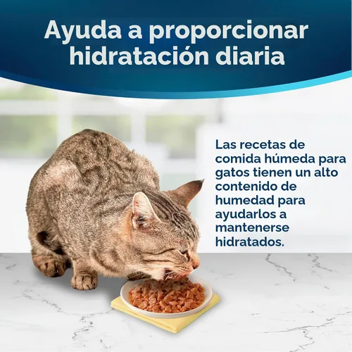 Vista 7 de Blue Buffalo Tastefuls - Paquete variado sin cuchara, 2.6 onzas, 12