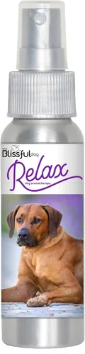 Vista 73 de The Blissful Dog Labrador Retriever Relax Roll-On Aromaterapia para perros