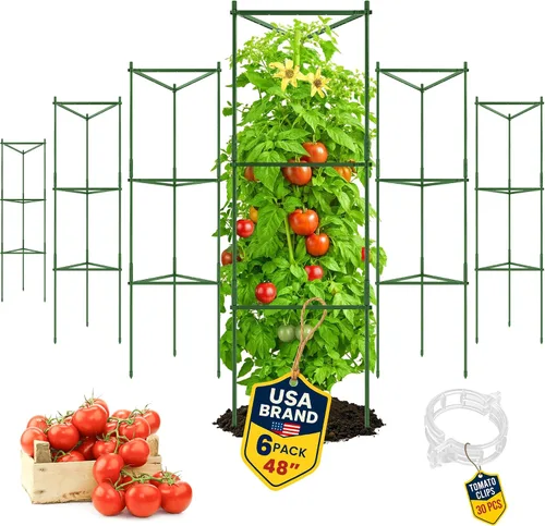Vista 13 de Jaula de tomate – Estacas grandes de enrejado y estructuras de soporte para plantas para verduras y plantas trepadoras – Jaulas altas para tomate