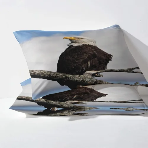 Vista 3 de Bald Eagle - Juego de sábanas de tamaño individual, sábanas de pájaros, sábanas y fundas de almohada estampadas de 3 piezas, sábana bajera ajustable