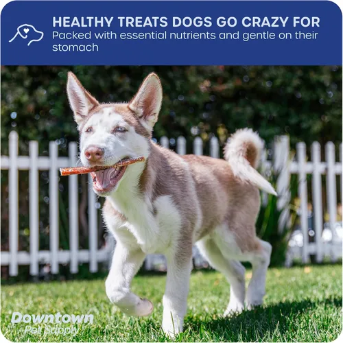 Vista 4 de Downtown Pet Supply Palitos masticables de 6 pulgadas hechos en Estados Unidos para perros, 0.5 libras, masticables para perros sin ocultar de larga