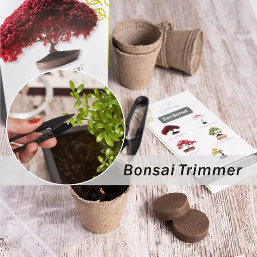 Vista 7 de Tijeras de podar bonsái, 12 unidades, pequeñas tijeras de podar brotes y hojas, tijeras de jardín para plantas, cortadoras de jardinería