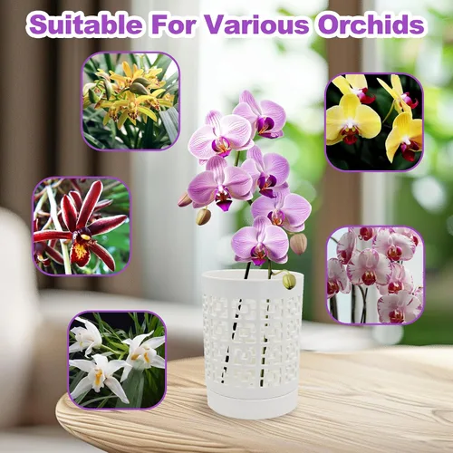 Vista 4 de Macetas de orquídea de cerámica de 4 pulgadas con agujeros, macetas