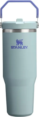 Vista 104 de STANLEY IceFlow 2.0 - Vaso con pajilla abatible con asa, 30 onzas, tapa giratoria y popote abatible, botella de agua a prueba de fugas, acero Tiza