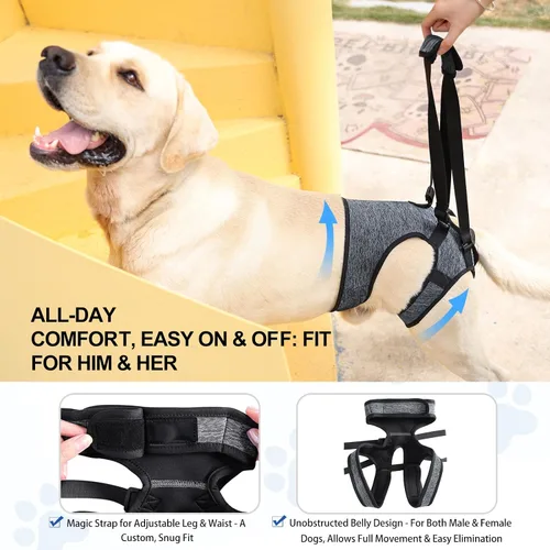 Vista 3 de LIANZIMAU Arnés de elevación ajustable para perros grandes, arnés de elevación ajustable para patas traseras, arnés de ayuda para la movilidad