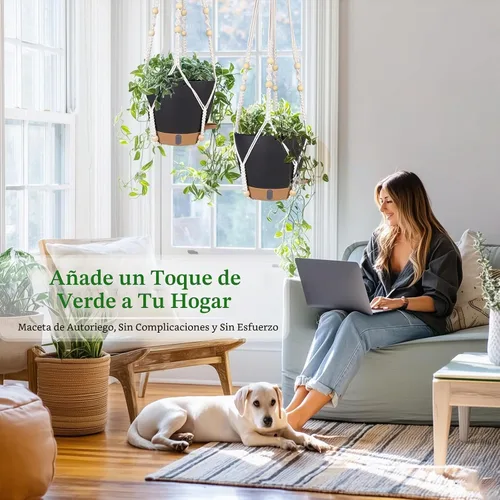 Vista 5 de Maceta colgante de riego automático de 8 pulgadas para plantas de interior Negro