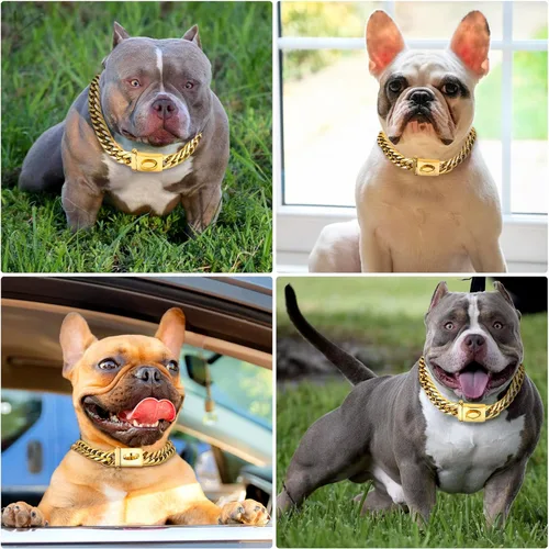 Vista 4 de BAOBOTE Collar de perro de cadena de oro, collar de eslabones cubanos Dorado
