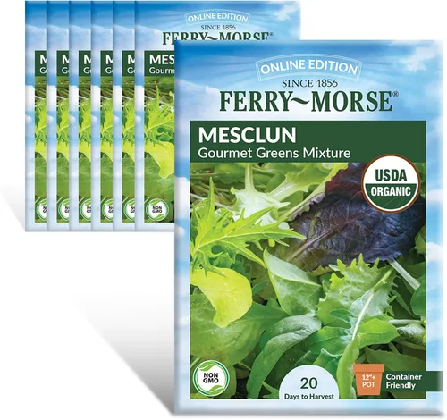 Vista 6 de Ferry-Morse Edición Online Bean Blue Lake Bush 274 Semillas Orgánicas Multipack – Paquete de 8
