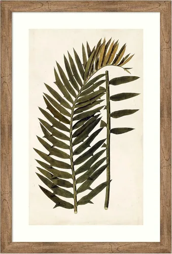 Vista 11 de Amanti Art Vision Studio - Lienzo decorativo para pared, 24 x 17 pulgadas, variedades de hojas VIII, arte de pared de naturaleza, decoración