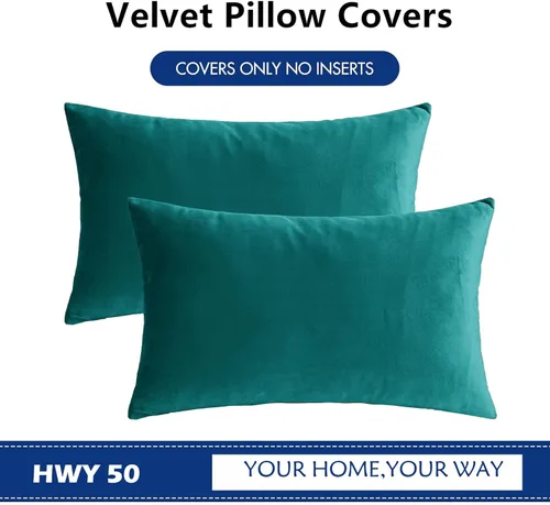 Vista 82 de HWY 50 fundas de almohada decorativas de terciopelo sólido para sofá, sala de estar., Terciopelo, gris, 20x20 pulgadas