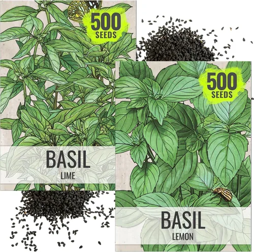 Vista 16 de Seed Needs Shiso - Semillas de hierbas variadas, paquete de 2 sin OMG y perilla de reliquia