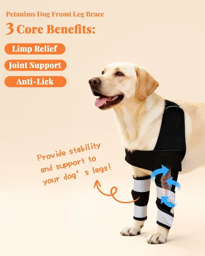 Vista 3 de Petanims Soporte de pierna delantera para perro, soporte de rodilla/carpalo/muñeca para perros, codo ajustable con soporte para el hombro, protector