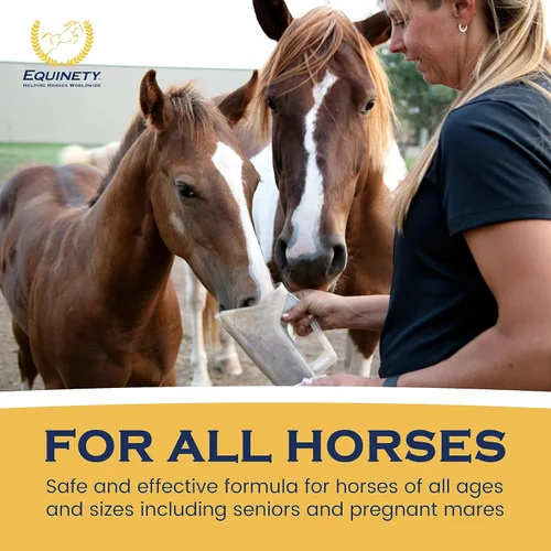 Vista 7 de Productos de Equinety Horse
