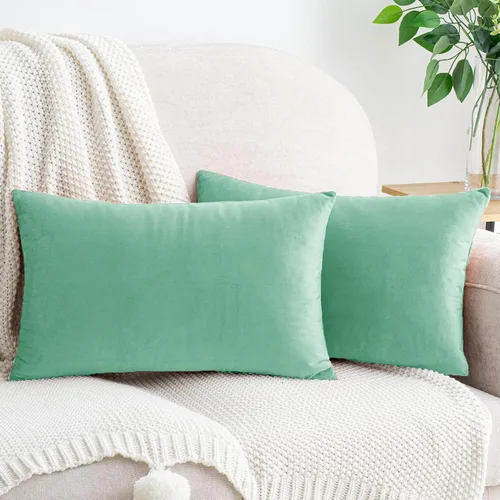 Vista 84 de HWY 50 fundas de almohada decorativas de terciopelo sólido para sofá, sala de estar., Terciopelo, gris, 20x20 pulgadas