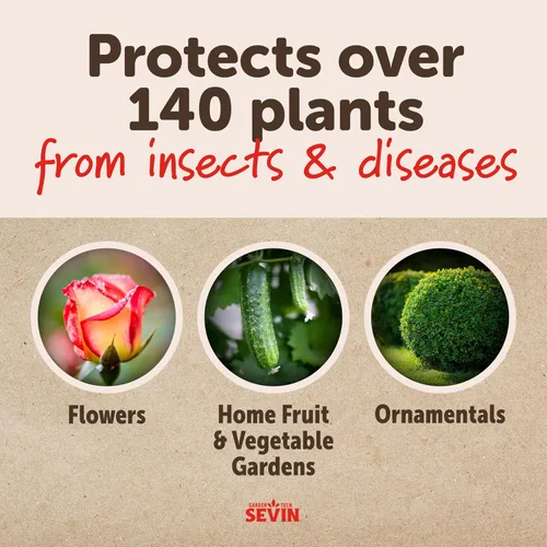 Vista 3 de Sevin 100547227 Polvo de azufre 1.25 libras, etiqueta blanca Control 2 en 1 de enfermedades e insectos, polvo o aerosol, para rosas, cítricos