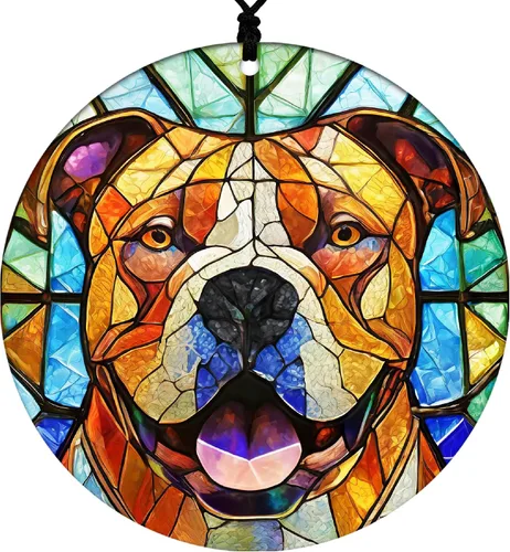Vista 13 de Adorno de Navidad de Pitbull - Adorno colgante deportivo para el hogar con diseño temático de béisbol - Adorno de disco acrílico 2025 para árbol
