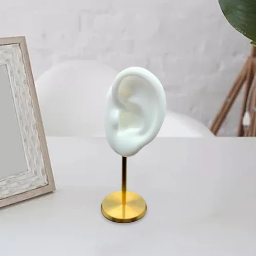 Vista 5 de Colaxi Soporte de exhibición de aretes, soporte de oreja para modelo, herramientas de enseñanza, decoración de escritorio duradera con base estable
