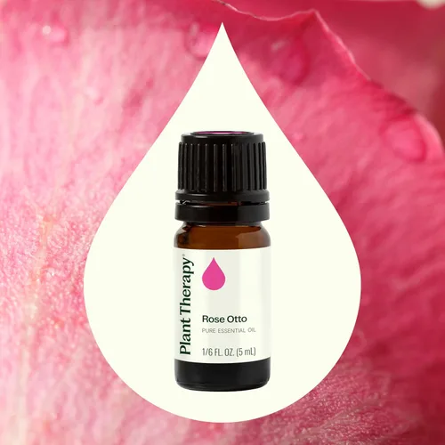 Vista 3 de Plant Therapy Aceite esencial Rose Otto 5 mL (1/6 oz) 100% puro, sin diluir, aromaterapia, cuidado de la piel, relajante y romántico aroma
