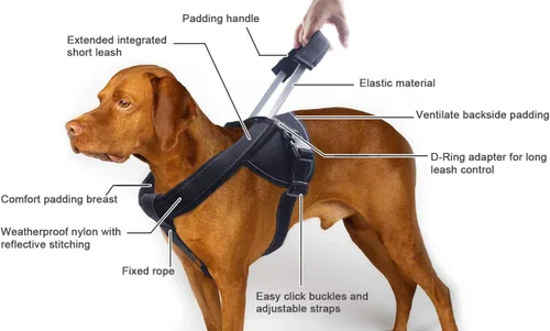 Vista 5 de Yogadog– Arnés resistente para perro, evita tirones, acolchado con correa integrada extendida epecial, costuras reflectantes, especial para perros