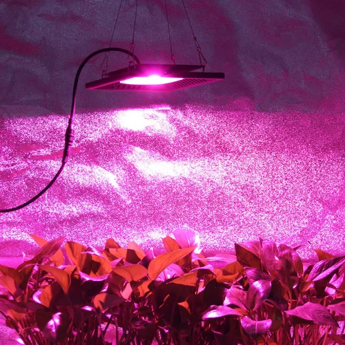 Vista 7 de Luz LED impermeable de 100 W de espectro completo, luz LED COB de nueva tecnología, disipación de calor natural sin ruido, adecuado para plantas