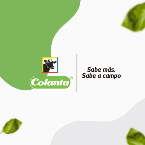 Vista 2 de Leche en polvo (paquete de 3) leche en polvo entera colanta leche en polvo entera en bolsa leche en polvo colanta colombiana