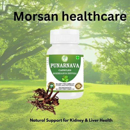 Vista 6 de Morsan Healthcare Punarnava Cápsulas – Paquete de 2 cápsulas vegetales de 60 x 500 mg Boerhaavia Diffusa Hierba ayurvédica 100% natural